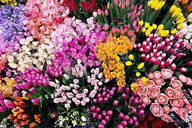 T2或将于5月17日公布《GTA6》新消息 期待吗？